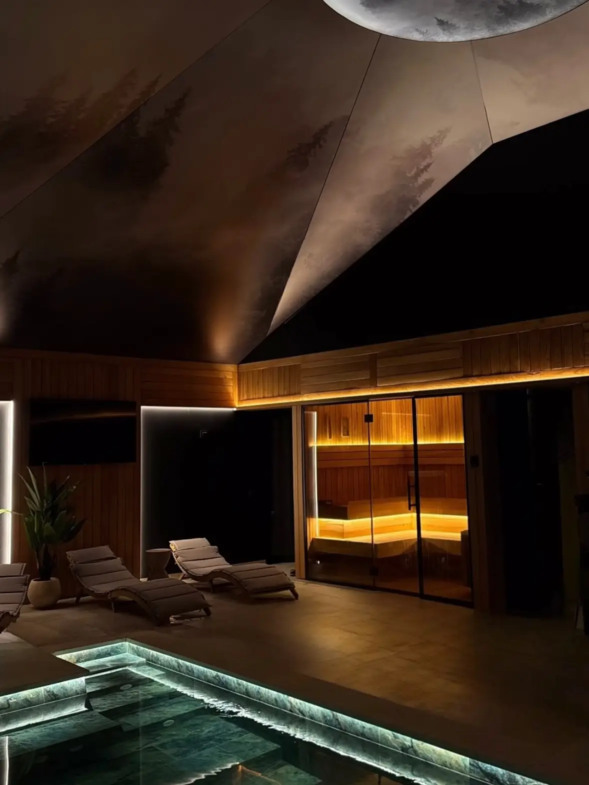 Heated indoor pool with unique moonlit ceiling and mountain view in Borșa