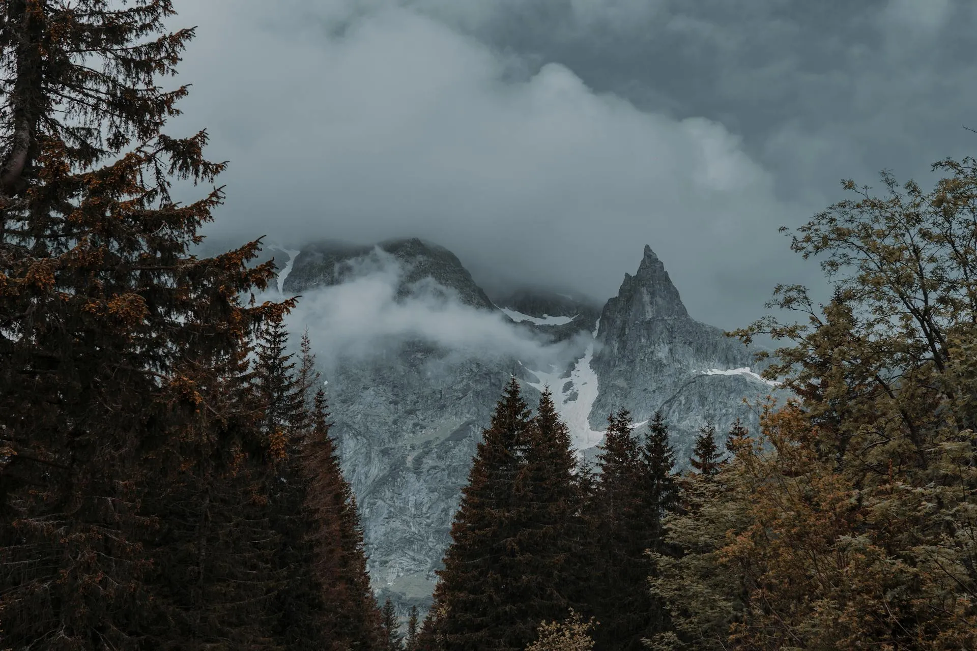 Misty mountain landscape in the Rodnei Mountains at sunrise