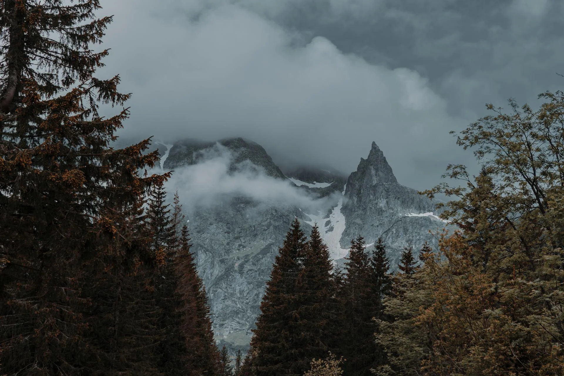 Mountain landscape of the Rodnei Mountains region in Maramureș, Romania